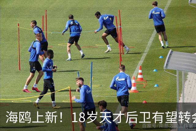 海鸥上新！18岁天才后卫有望转会英格兰，天赋顶级布莱顿要买