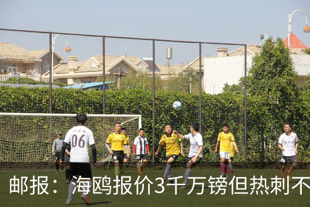 邮报：海鸥报价3千万镑但热刺不愿卖武什科维奇 巴萨国米拜仁关注